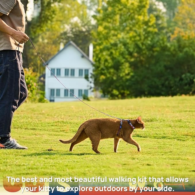 Cat Harness and Leash Set, Adjustable Cat Harness Escape Proof, Comfortable Walking Travel Kitten Harness for Small Medium Large Cats （Trail 66）