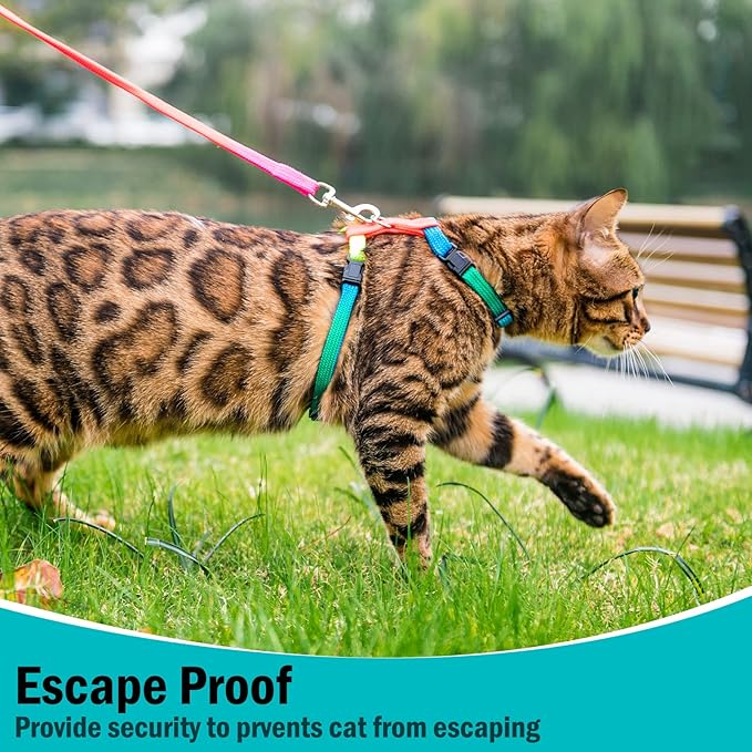 PUPTECK Adjustable Cat Harness and Leash Set Escape Proof Kitten Strap Collar for Walking Travel, Multicolor