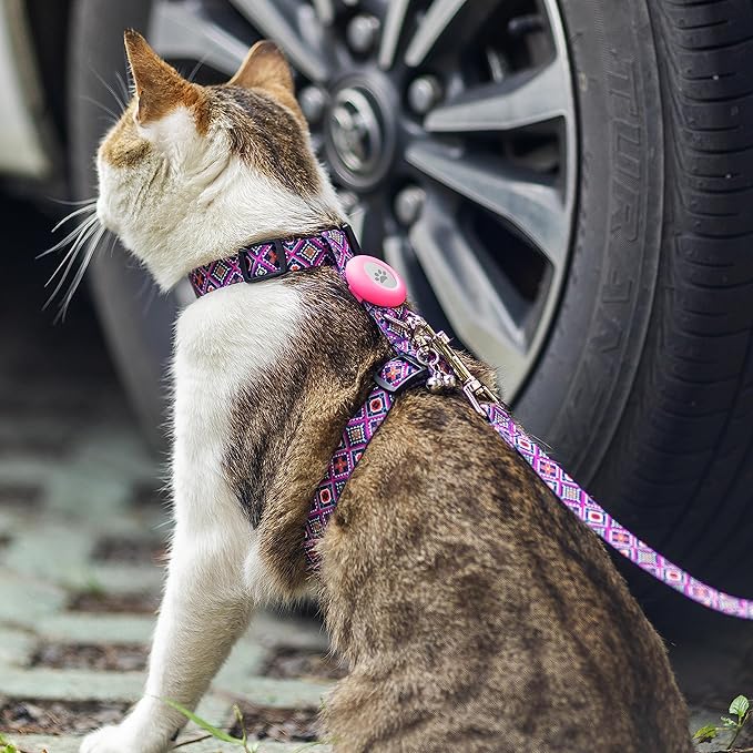 Cat Harness and Leash Escape Proof for Walking Travel Outdoor - Soft Nylon Adjustable Cute Cat Harness Leash Set with Airtag Holder for Small Medium Large Cats