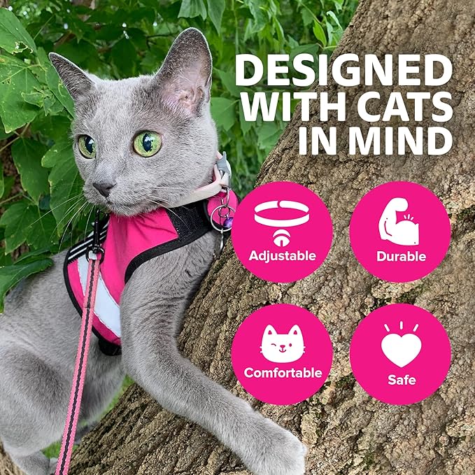 Reflective Cat Harness - High-Visibility Cat Vest for Day & Night | Secure, Breathable and Washable Cotton | Ideal for Walking & Traveling - Flamingo Pink, XL