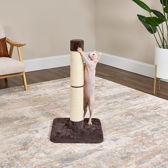 Feline Nuvo Medium, Forte Scratching Post- Brio