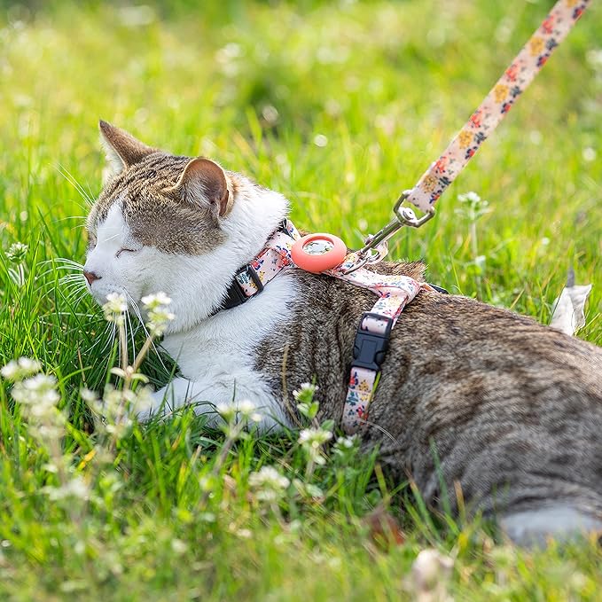 Cat Harness and Leash Escape Proof for Walking Travel Outdoor - Soft Nylon Adjustable Cute Cat Harness Leash Set with Airtag Holder for Small Medium Large Cats