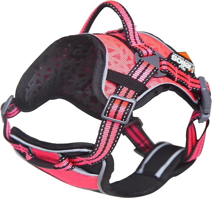 DOGHELIOS 'Journey Wander' Chest Compressive Sporty Adjustable Travel Pet Dog Harness and Leash Combination, Medium, Pink