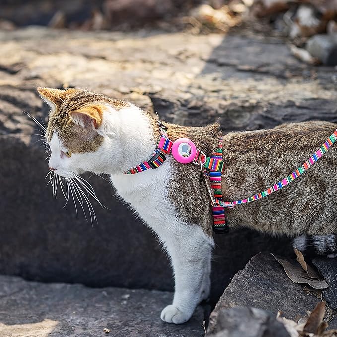 Cat Harness and Leash Escape Proof for Walking Travel Outdoor - Soft Nylon Adjustable Cute Cat Harness Leash Set with Airtag Holder for Small Medium Large Cats