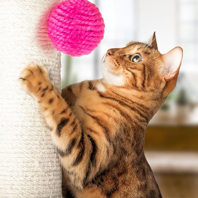 17-Inch Cat Scratching Post - Sisal Rope and Carpet Scratching Pole with Bright Pink Hanging Ball Toy for Adult Cats and Kittens by PETMAKER (Gray)