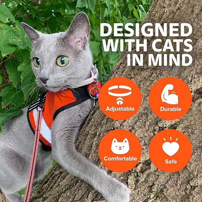 Reflective Cat Harness - High-Visibility Cat Vest for Day & Night | Secure, Breathable and Washable Cotton | Ideal for Walking & Traveling - Outrageous Orange, M to L
