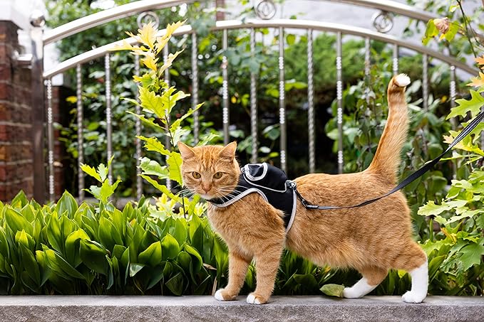 Travel Cat & Stray Cat Harness and Leash Set - Adjustable Velcro Mesh Cat Harness and Strong Nylon Leash Kit - Comfort Escape Proof Harness for Cats, Kitten for Outdoor Walking,Hiking (Medium:9-11 in)