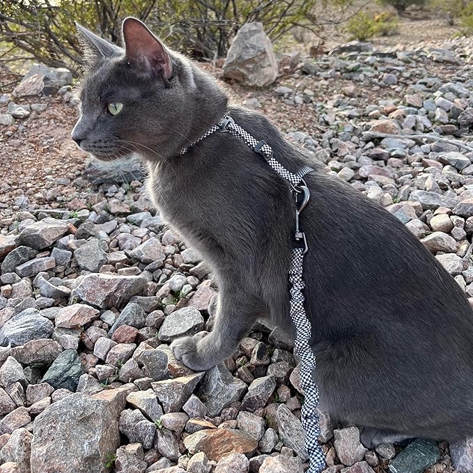 Travel Cat Harness and Bungee Leash Set - 2 in 1 Adjustable Escape Proof Cat Harness & Leash for Small, Medium, Large Cats, Kitten - Safe H-Style Cat Leash Harness for Outdoor Walking (Checkered)