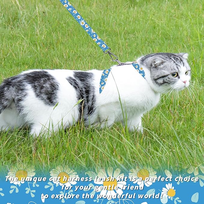 Cat Harness and Leash Set, Adjustable Kitten Harness Escape Proof Cats Harness, Soft Lightweight Walking Travel Pet Harness, Cute Kitty Harness Leash Set for Small Medium Cats, Blue Daisy