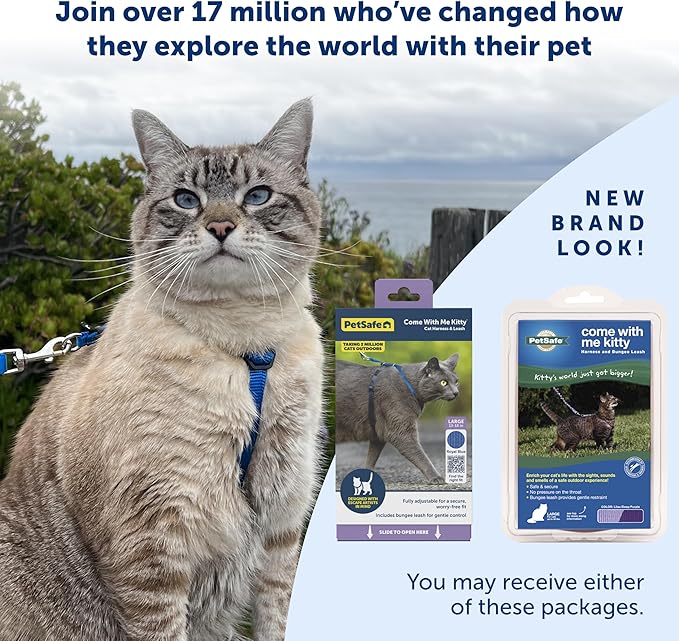 PetSafe Come with Me Kitty Harness and Bungee Leash, Small, Royal Blue