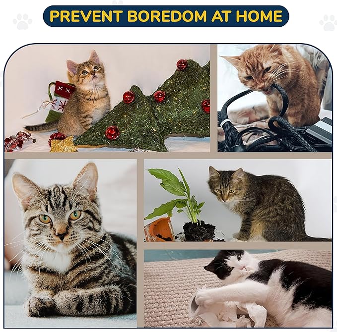 Corner Cat Wall Shelf, Wall Mount Cat Shelves with 2 Climbing Steps, Large Floating Cat Shelves for Wall, Wall Cat Bed Furniture and Perch for Indoor Cats (Wood Color)