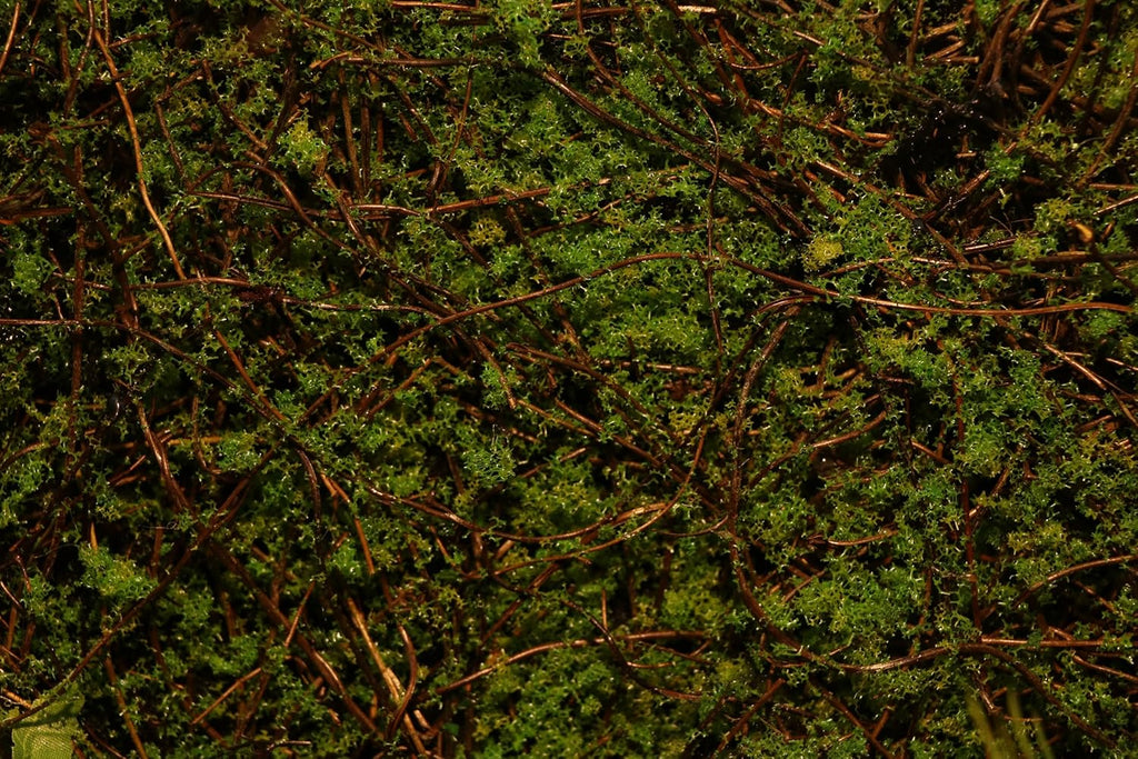 AQUA KT Reptile Moss Background Backdrop Wall Artificial Terrarium Habitat Amphibian Cage Decoration for Lizard Bearded Dragon Snake Tree Frog Chameleon Climbing, Pack of 4