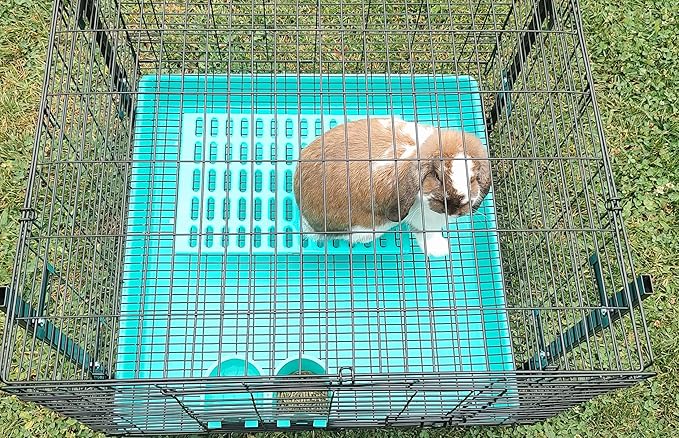 Saguaro Acres Rabbit and Small Animal Cage Resting Mat for Wire Floored Cages - Pack of 6 (Pink, Blue, Teal, Purple, Grey and Orange)