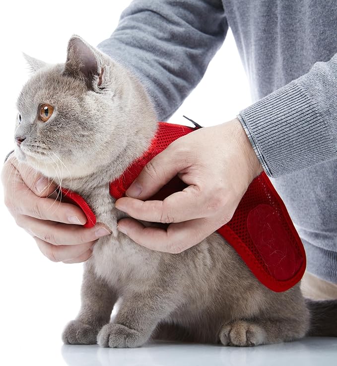 Kitten Harness and Leash Set with Reflective Strip, Cat Harness and Leash Set Escape Proof, Adjustable, Travel, Cat Vest