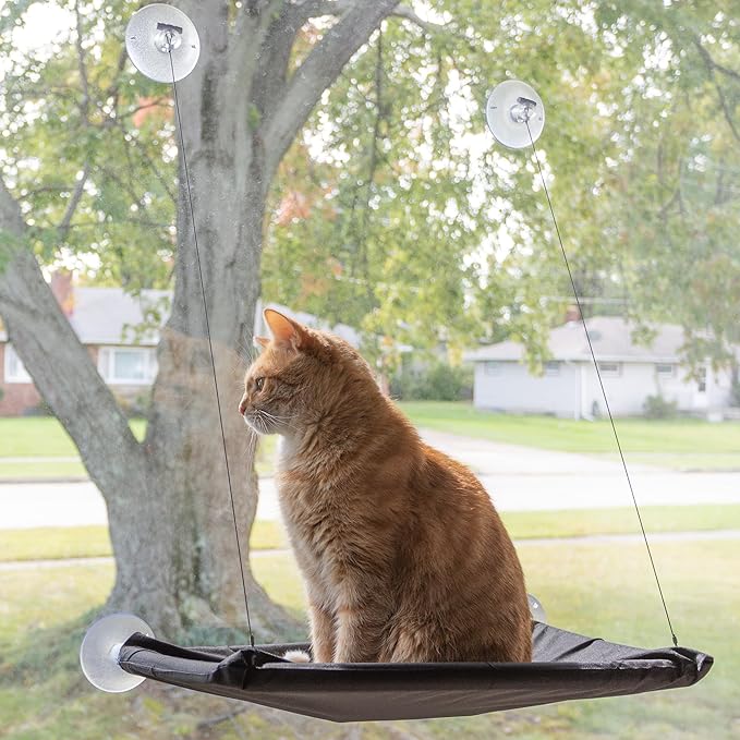 Cat Window Perch - Cat Window Hammock with Strong Suction Cups and Removable Machine Washable Oxford Cloth Cat Bed for Large Cats by PETMAKER (Black)