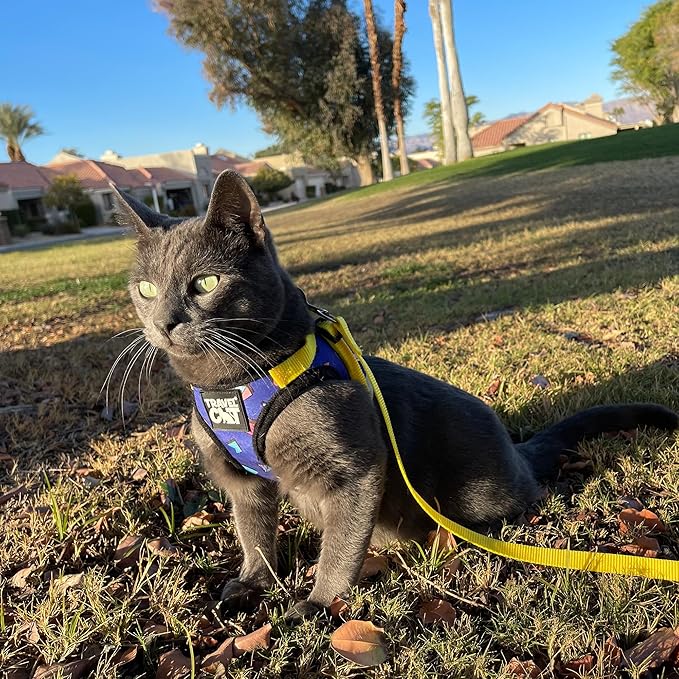 Travel Cat Harness and Leash Set - Adjustable Fit Mesh Cat Harness and Reflective Strap - Comfort Escape Proof Harness for Cats, Kitten for Outdoor Walking, Hiking (Large, 90s Cat)
