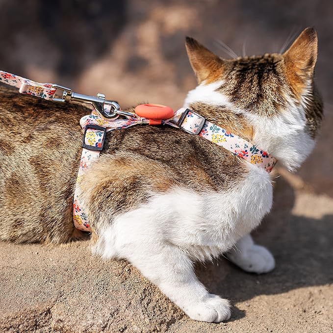 Cat Harness and Leash Escape Proof for Walking Travel Outdoor - Soft Nylon Adjustable Cute Cat Harness Leash Set with Airtag Holder for Small Medium Large Cats