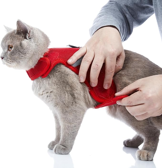 Kitten Harness and Leash Set with Reflective Strip, Cat Harness and Leash Set Escape Proof, Adjustable, Travel, Cat Vest