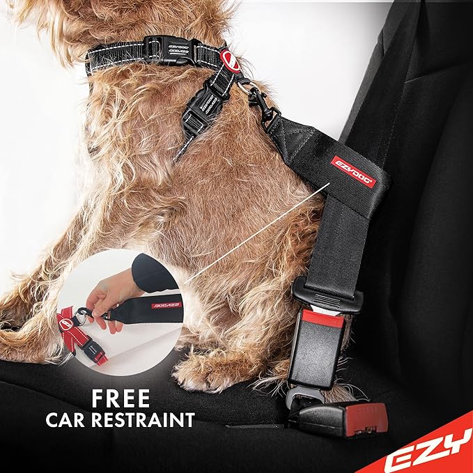 EzyDog Premium Chest Plate Custom Fit Reflective No-Pull Padded Comfort Dog Harness - Perfect for Training, Walking, and Control - Includes Car Restraint Attachment (Medium, Corduroy)