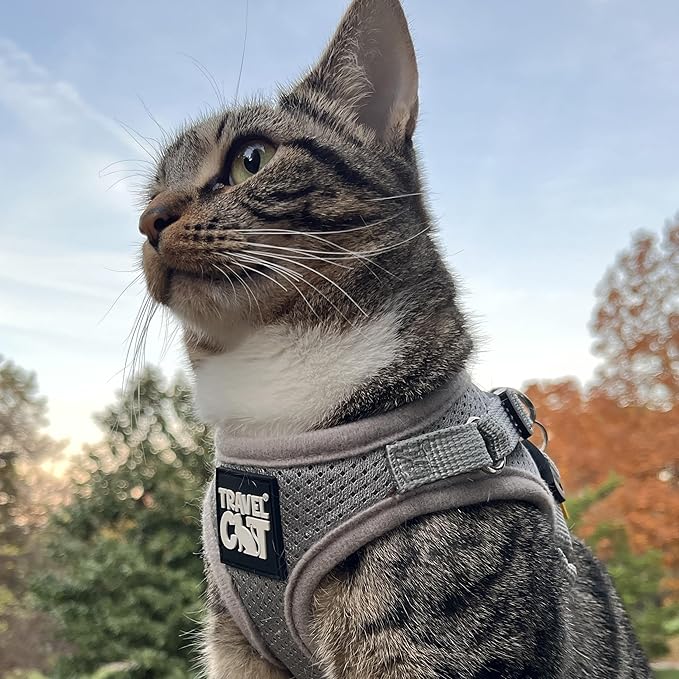 Travel Cat Harness and Leash Set - Adjustable Fit Mesh Cat Harness and Reflective Strap - Comfort Escape Proof Harness for Cats, Kitten for Outdoor Walking, Hiking (Medium, Grey)