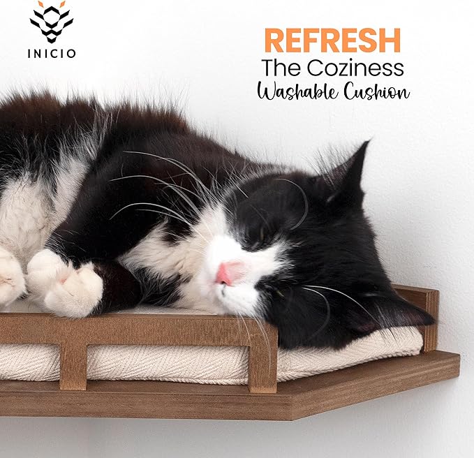 Cat Wall Shelves - Cat Shelves for Wall, Cat Shelf w/Cat Wall Steps, Cat Shelf for Wall - Corner Cat Shelf, Cat Shelves with Cat Wall Bed