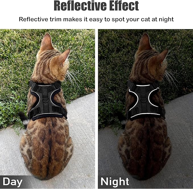 MeWO Kitten Leash and Harness Set - Escape Proof, Reflective, Adjustable for a Safe & Snug Fit - Small Cat Harness and Leash Set Cat Leashes and Harnesses for Walking Outdoors Kitten Harness and Leash