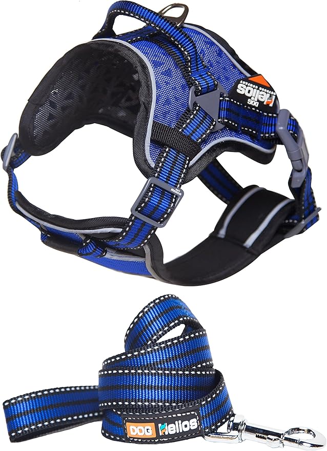 DOGHELIOS 'Journey Wander' Chest Compressive Sporty Adjustable Travel Pet Dog Harness and Leash Combination, Small, Blue