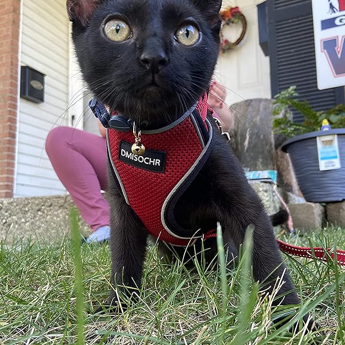 Cat Harness - Escape Proof Reflective Cat Harness and Leash for Small to Large Cats, Puppy, Small Dog - Adjustable Mesh Breathable Pink Cute Cat Harness for Walking Training Hiking