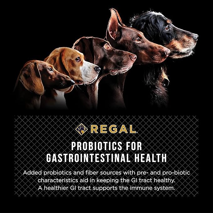 Adult Farmhouse Recipe (Chicken and Duck) All Natural, Slow Cooked Whole Grain Dry Dog Food for All Breeds and Sizes of Adult Dog - Made in The USA, 4 LB Bag (Pack of 2)