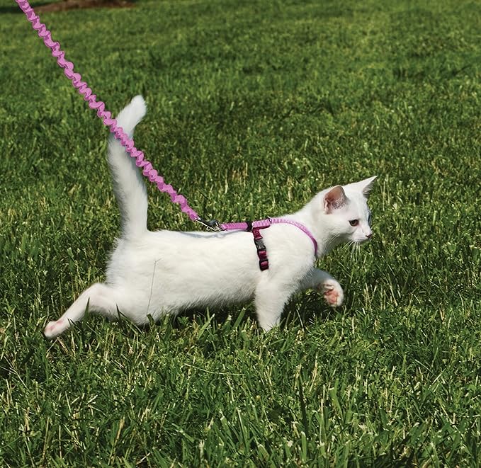 PetSafe Come with Me Kitty Harness and Bungee Leash, Small, Dusty Rose