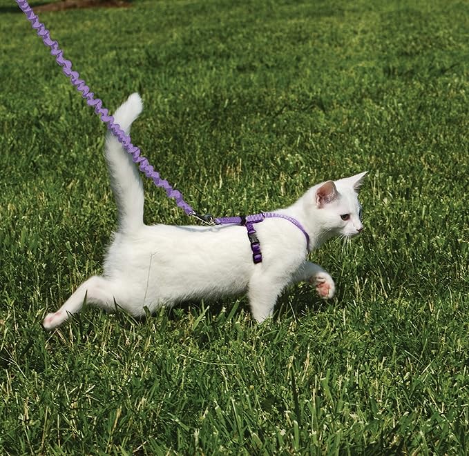 PetSafe Come with Me Kitty Harness and Bungee Leash, Small, Lilac