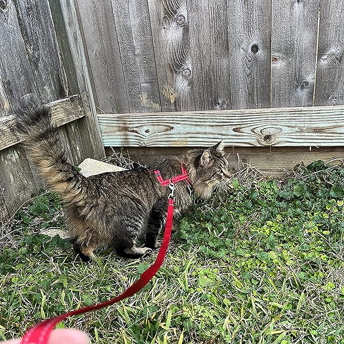 Cat Harness - Escape Proof Reflective Cat Harness and Leash for Small to Large Cats, Puppy, Small Dog - Adjustable Mesh Breathable Pink Cute Cat Harness for Walking Training Hiking